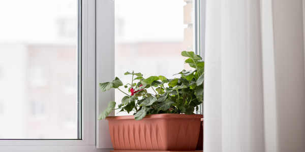 Fabricantes / Instaladores de Puertas y Ventanas de Aluminio / PVC Organyà · Doble Acristalamiento